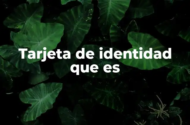 Tarjeta de Identidad que es 2 Importancia de poseer una tarjeta de identidad