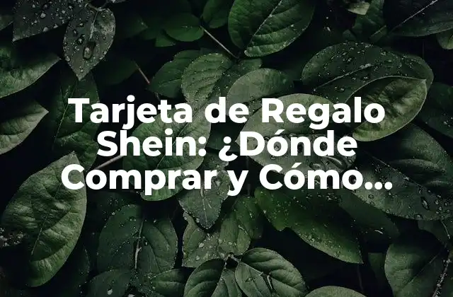 Tarjeta de Regalo Shein: ¿dónde Comprar y Cómo Funciona? 2 ¿Qué es la Tarjeta de Regalo Shein?