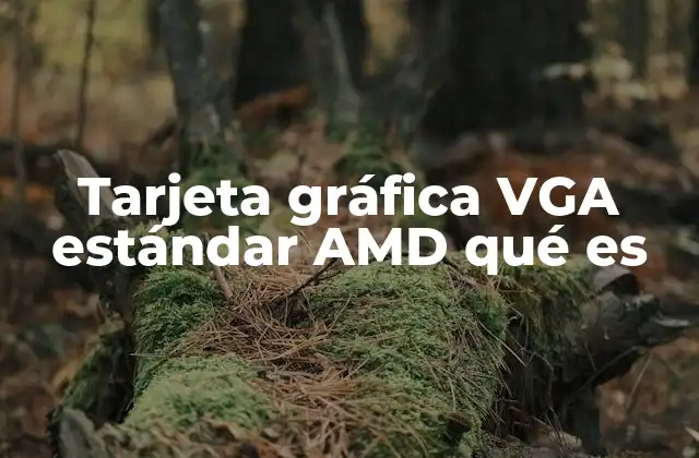 Tarjeta Gráfica Vga Estándar Amd Qué es