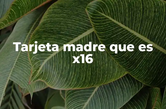 Tarjeta Madre que es X16