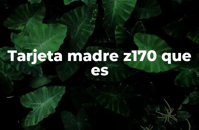 Tarjeta Madre Z170 que es