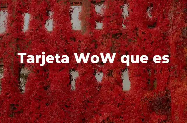 Tarjeta Wow que es