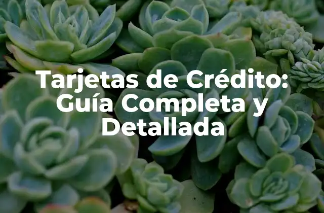 Tarjetas de Crédito: Guía Completa y Detallada