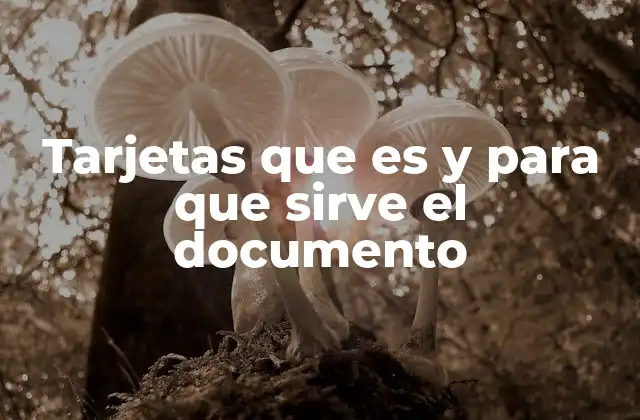 El papel de las tarjetas en la administración pública