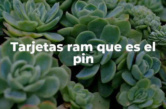 Tarjetas Ram que es el Pin