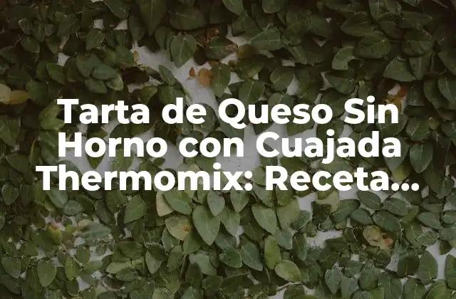 Tarta de Queso sin Horno con Cuajada Thermomix: Receta Fácil y Deliciosa