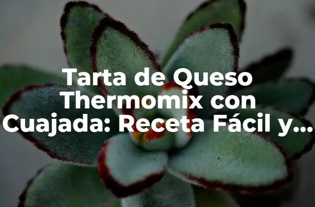 Tarta de Queso Thermomix con Cuajada: Receta Fácil y Deliciosa