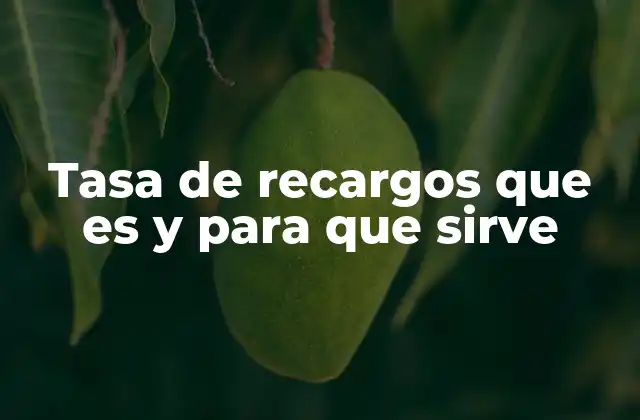 Tasa de Recargos que es y para que Sirve