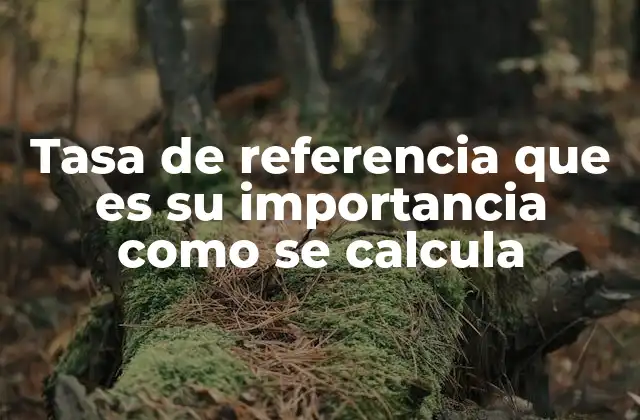 Tasa de Referencia que es Su Importancia como Se Calcula