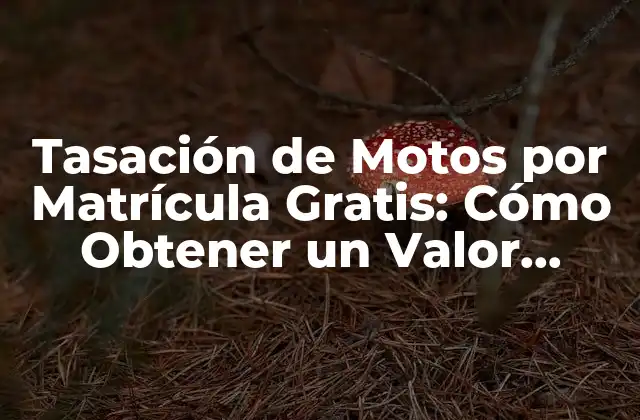 Tasación de Motos por Matrícula Gratis: Cómo Obtener un Valor Exacto