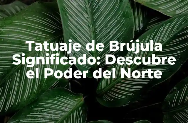 Tatuaje de Brújula Significado: Descubre el Poder Del Norte