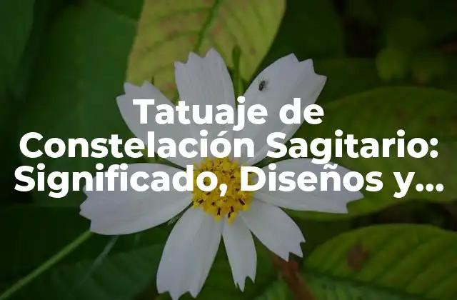 Tatuaje de Constelación Sagitario: Significado, Diseños y Inspiración
