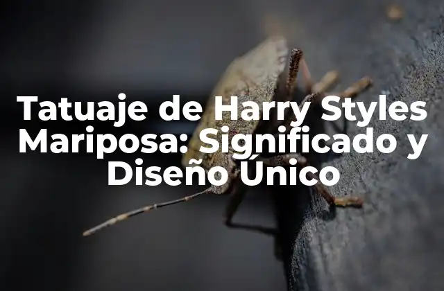 Tatuaje de Harry Styles Mariposa: Significado y Diseño Único