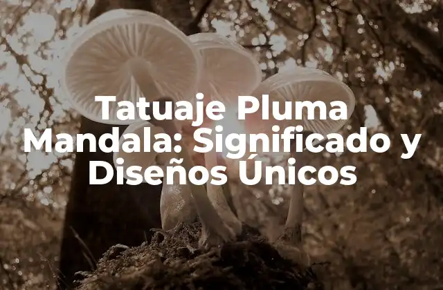 Tatuaje Pluma Mandala: Significado y Diseños Únicos 2 Orígenes y Significado de los Tatuajes Pluma Mandala