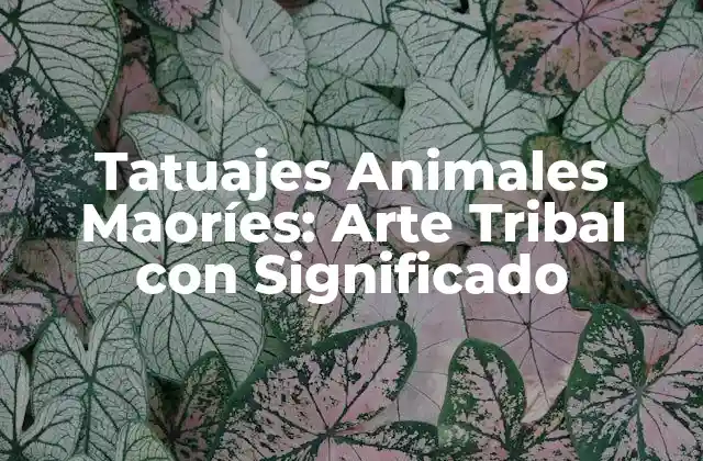 Tatuajes Animales Maoríes: Arte Tribal con Significado