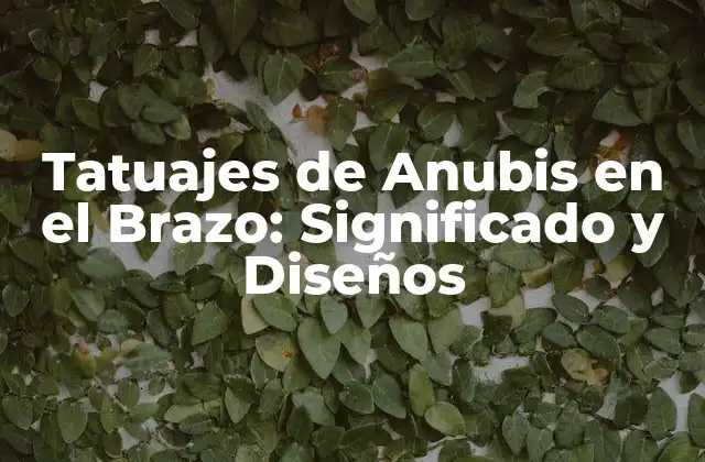 Tatuajes de Anubis en el Brazo: Significado y Diseños