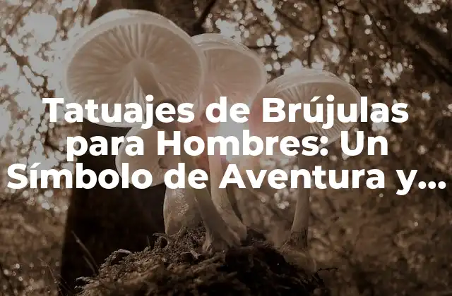 Tatuajes de Brújulas para Hombres: un Símbolo de Aventura y Libertad