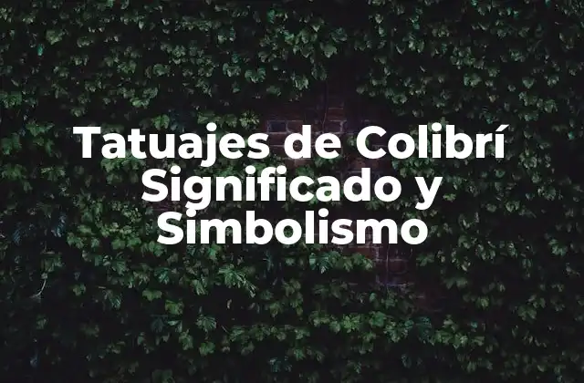 Tatuajes de Colibrí Significado y Simbolismo