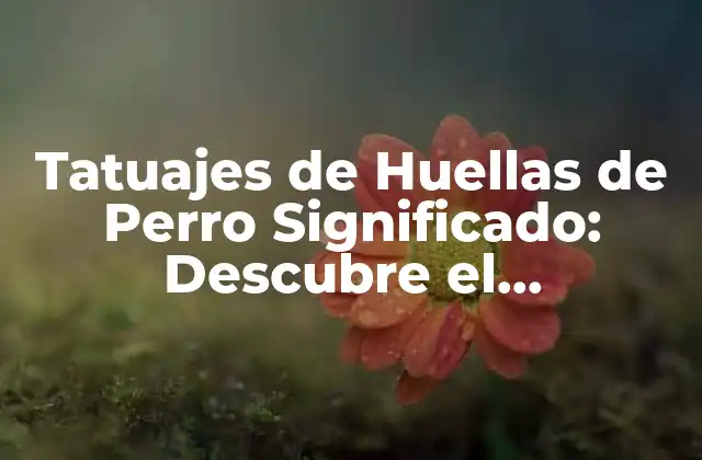 Tatuajes de Huellas de Perro Significado: Descubre el Simbolismo Detrás de Esta Tendencia de Tatuaje Popular