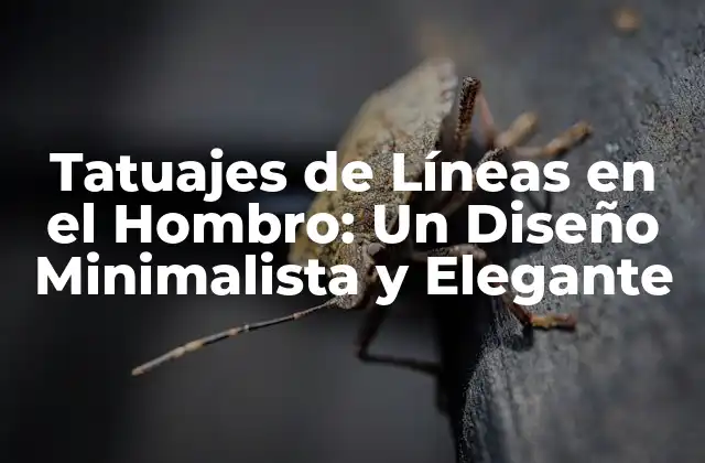 Tatuajes de Líneas en el Hombro: un Diseño Minimalista y Elegante