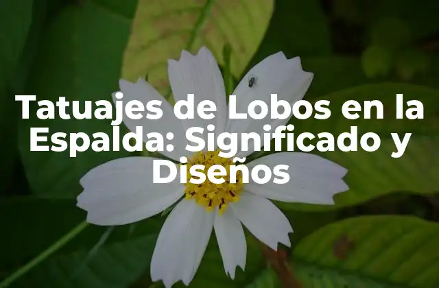 Tatuajes de Lobos en la Espalda: Significado y Diseños 2 El Significado de los Tatuajes de Lobos en la Espalda