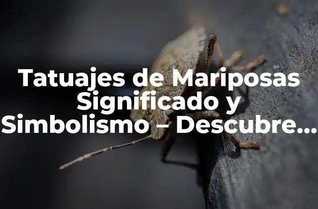 Tatuajes de Mariposas Significado y Simbolismo – Descubre el Poder Detrás de Estos Diseños
