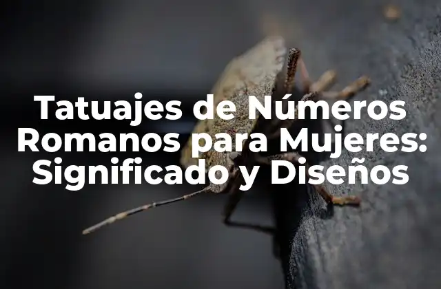 Tatuajes de Números Romanos para Mujeres: Significado y Diseños