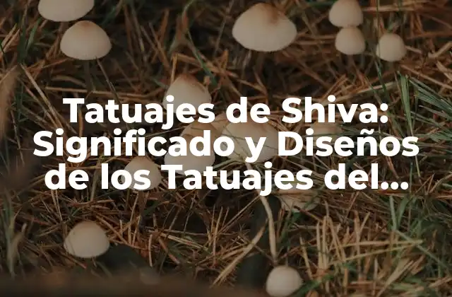 Tatuajes de Shiva: Significado y Diseños de los Tatuajes Del Dios Hindu