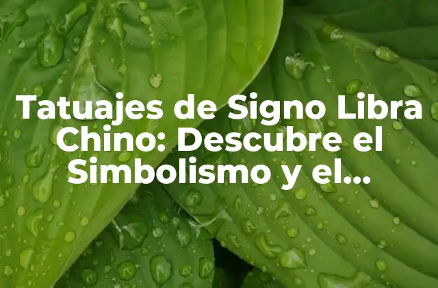 Tatuajes de Signo Libra Chino: Descubre el Simbolismo y el Significado