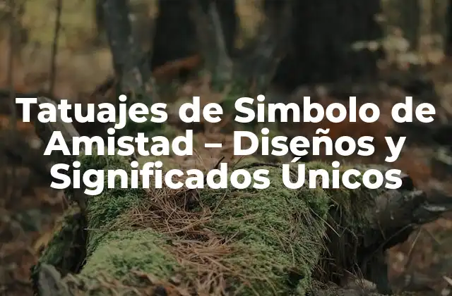 Tatuajes de Simbolo de Amistad – Diseños y Significados Únicos