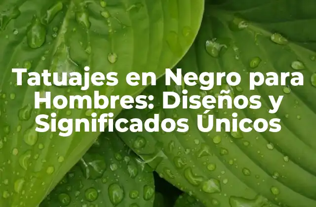 Tatuajes en Negro para Hombres: Diseños y Significados Únicos