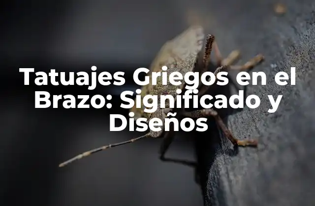 Tatuajes Griegos en el Brazo: Significado y Diseños