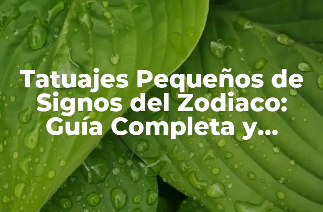 Tatuajes Pequeños de Signos Del Zodiaco: Guía Completa y Emblemática