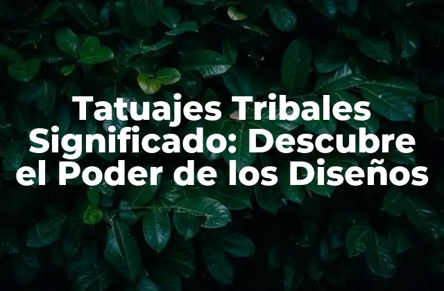 Tatuajes Tribales Significado: Descubre el Poder de los Diseños
