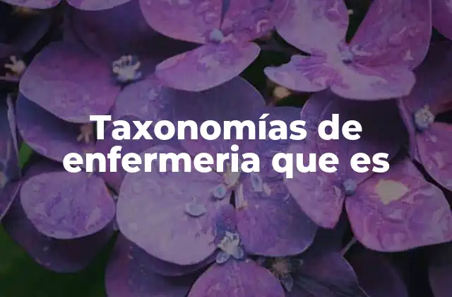 Taxonomías de Enfermeria que es