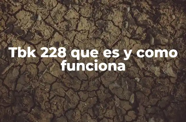 Tbk 228 que es y como Funciona