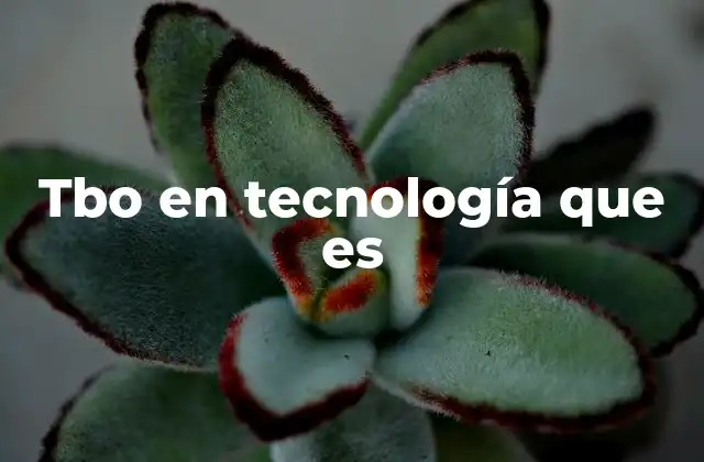 Tbo en Tecnología que es