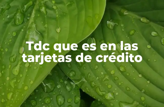 Tdc que es en las Tarjetas de Crédito