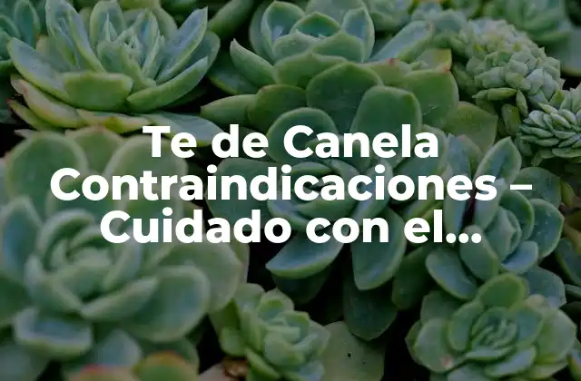 Te de Canela Contraindicaciones – Cuidado con el Consumo Excesivo