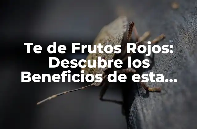 Te de Frutos Rojos: Descubre los Beneficios de Esta Deliciosa Infusión