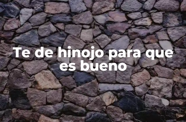 Te de Hinojo para que es Bueno