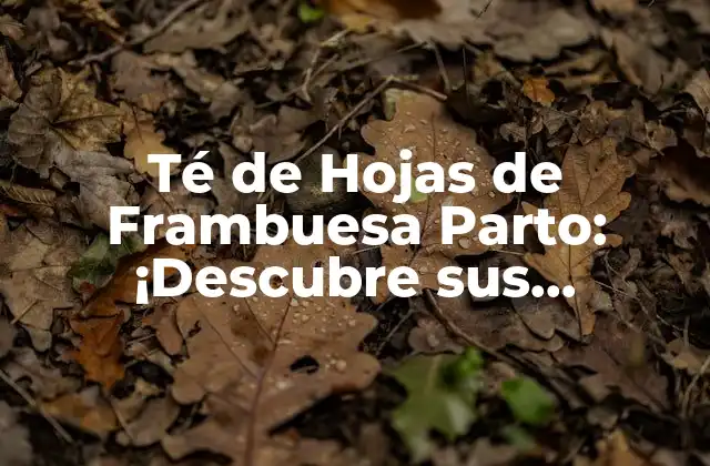 Té de Hojas de Frambuesa Parto: ¡descubre Sus Beneficios y Propiedades!