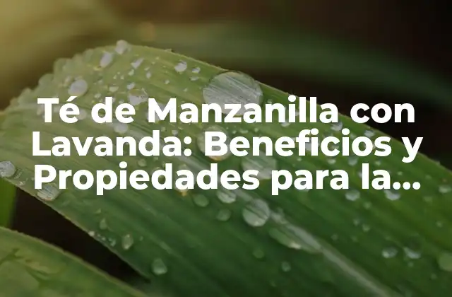 Té de Manzanilla con Lavanda: Beneficios y Propiedades para la Salud y el Bienestar