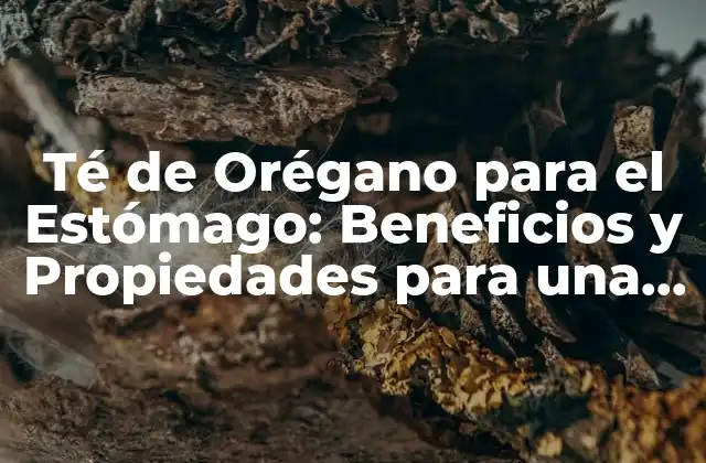 Té de Orégano para el Estómago: Beneficios y Propiedades para una Salud Digestiva