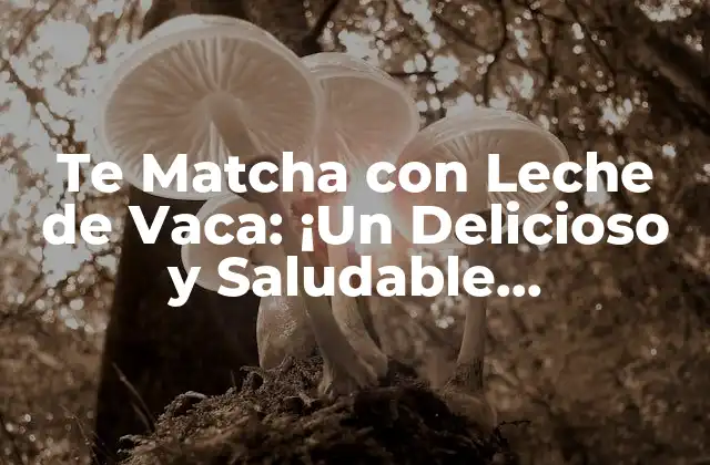 Te Matcha con Leche de Vaca: ¡un Delicioso y Saludable Combinate! 2 ¿Qué es el Te Matcha y Cuáles son sus Beneficios?