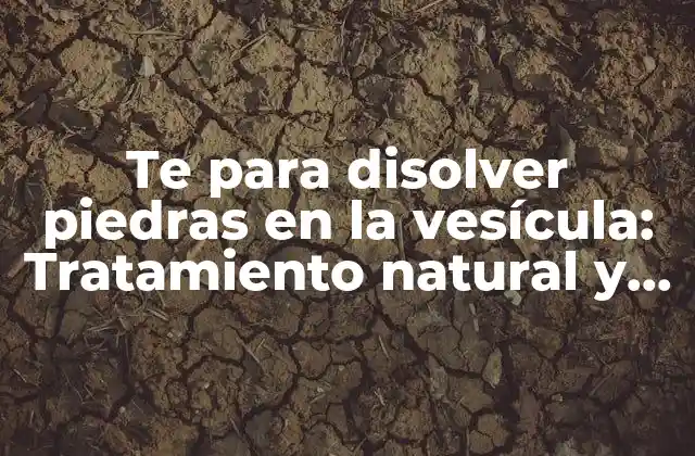 Te para Disolver Piedras en la Vesícula: Tratamiento Natural y Efectivo