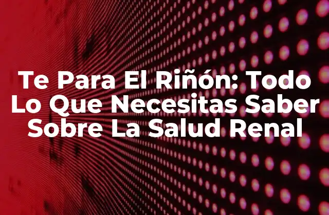 Te para el Riñón: Todo Lo que Necesitas Saber sobre la Salud Renal