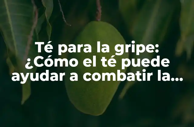 Té para la Gripe: ¿cómo el Té Puede Ayudar a Combatir la Gripe? 2 ¿Qué es la gripe y cómo se transmite?