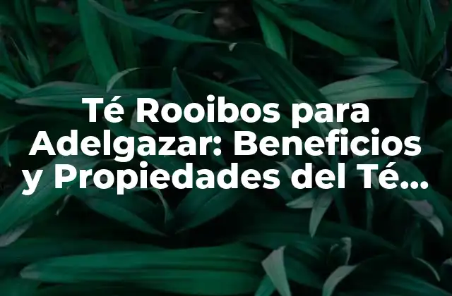 Té Rooibos para Adelgazar: Beneficios y Propiedades Del Té Rojo