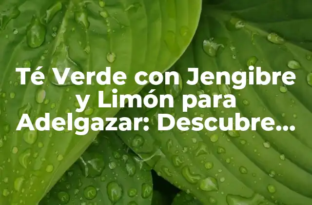 Té Verde con Jengibre y Limón para Adelgazar: Descubre los Beneficios 2 ¿Cuáles son los Componentes del Té Verde con Jengibre y Limón?